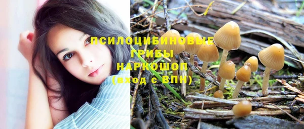 амфетамин Алексин