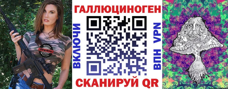 ссылка на мегу рабочий сайт  Шлиссельбург  Галлюциногенные грибы мицелий 